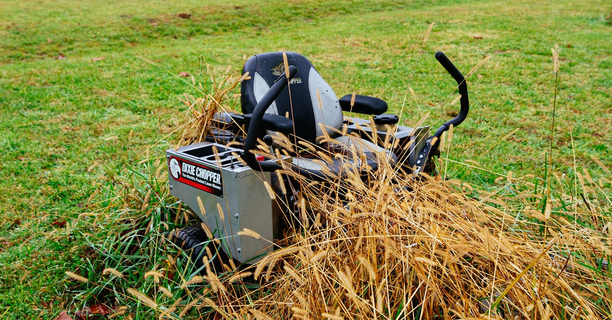 Lawn Maintenance